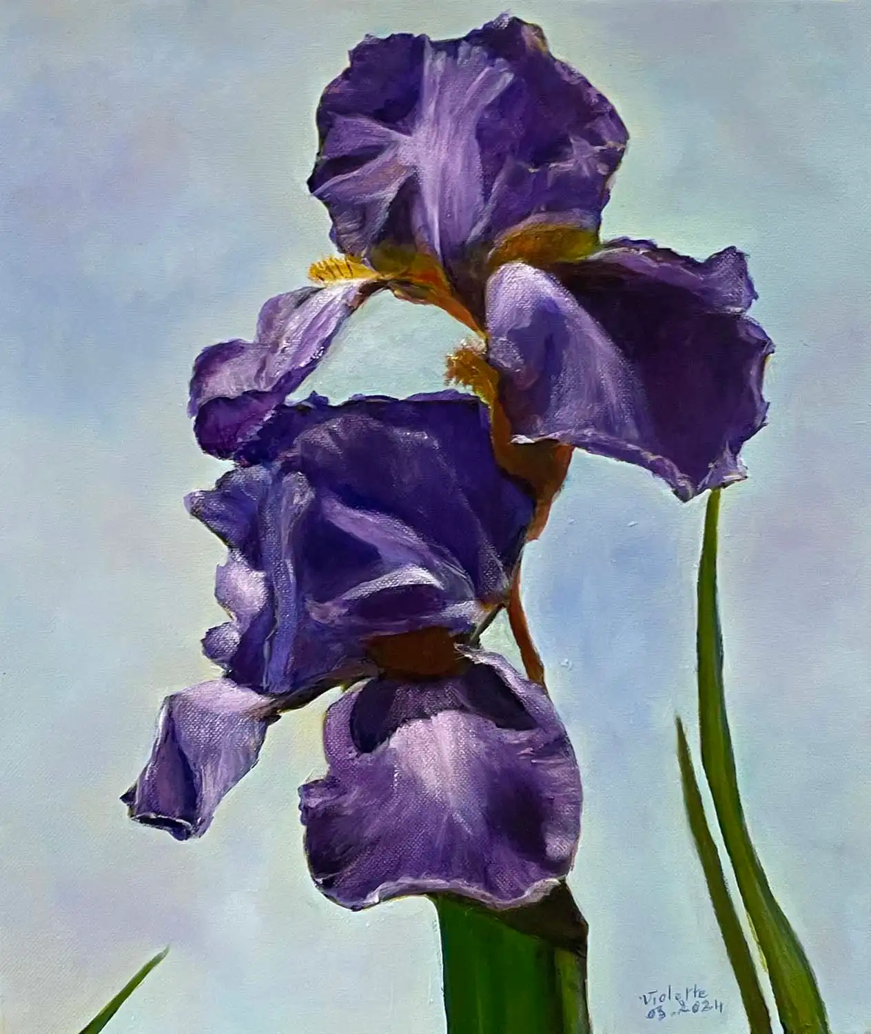 FOGLIATA Violette