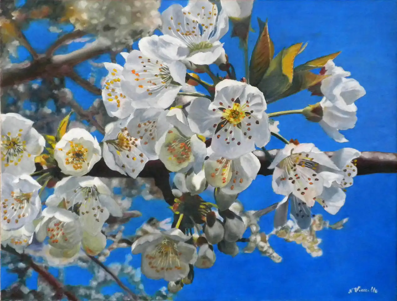 Eric Espinasse - Nicole Vieuille